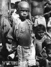 Look up The Invisible Children Congo